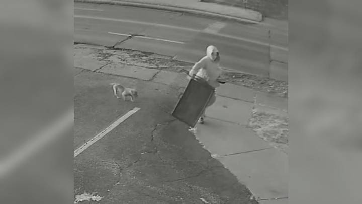 Dog Left In A Cage Outside Empty Iowa Shelter Finds Her Way To Safety
