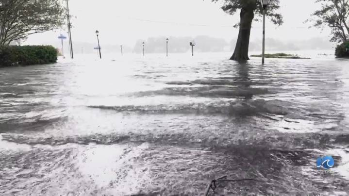 Wetlands Watch: High water levels in region could become normal