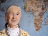 Jane Goodall, legendary primatologist, has died at age 91