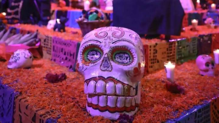 ¡El Festival de Calaveras llega a su final! ¿Listo para los últimos talleres, conciertos y el icónico desfile? Conoce la cartelera