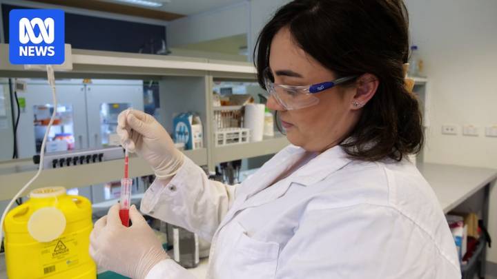 Study finds adverse links between PFAS exposure and reproductive health in mice