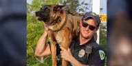 Pizza orders pour in at Salvatore’s as community rallies for injured Madison officer and K9
