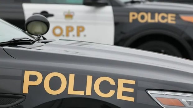 Simcoe man arrested for mother's murder, OPP say