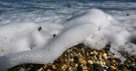 Nature reforms all at sea as Libs, Greens play hardball