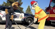 Police, firefighters face off for fundraising hockey game
