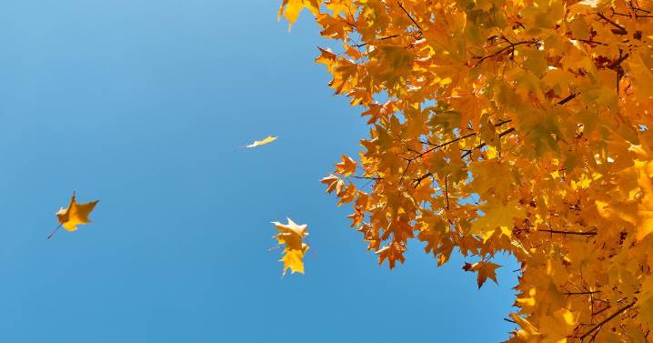 October kicks off with highs in the 80s in Twin Cities