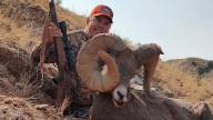 Wyoming Hunter Shoots Ram With Well-Known Horn Mutation In Famous Herd Near Lovell