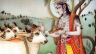 Gopashtami 2025: How Vrindavan celebrates Lord Krishna’s bond with cows