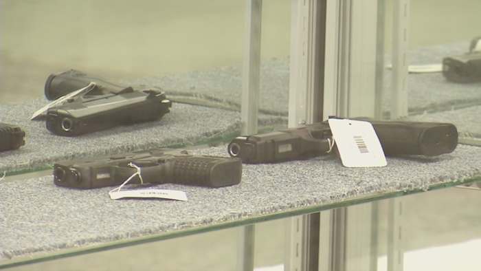 Fully grown or still too young? Another push to lower Florida’s legal gun
