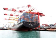 Las exportaciones desde Corrientes sumaron USD 239 millones entre enero y septiembre