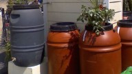 West Basin to hold Rain Barrel giveway at Morningside High School Nov. 1