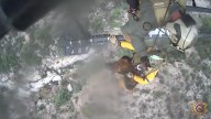 Vídeo: Así ha sido el rescate de película de un animal herido