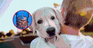 Esta es la enfermedad silenciosa que transmiten los perros y perjudica la salud de las personas