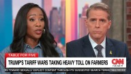 ‘Make it make sense!’ GOP strategist shut down after downplaying Trump tariff blowback