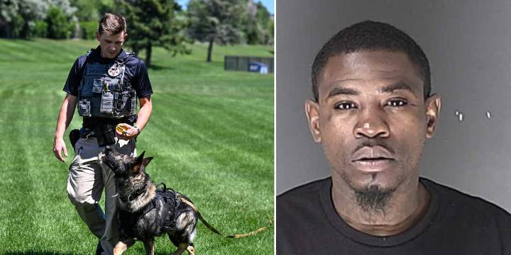 K9’s alert leads to drug, firearm bust in El Paso County