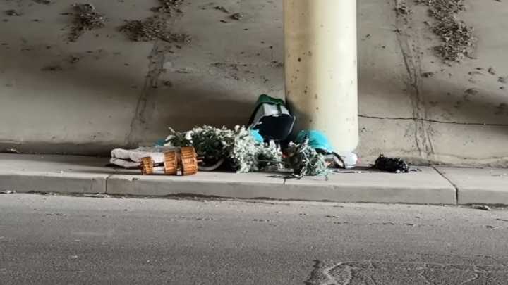 Missouri Rescuers Race Against Time To Save A Playful Dog Trapped Under The Highway Trash