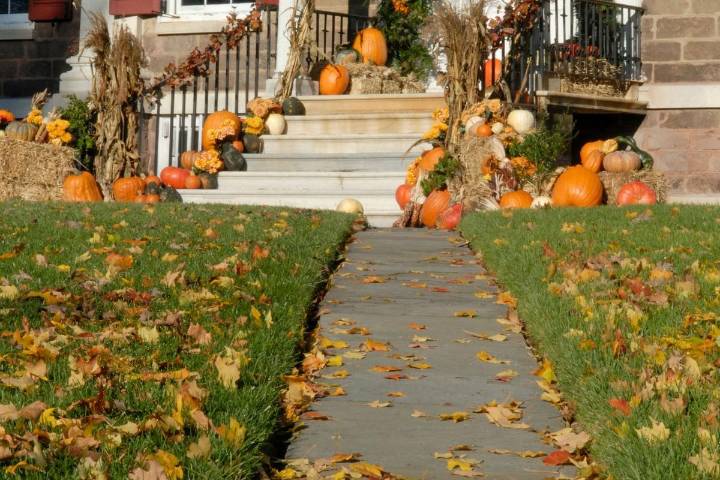 When Should You Stop Mowing Your WA Lawn in the Fall?