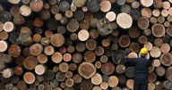 Gremio de la madera alerta por posibles cierre de empresas en Chile por aranceles de Estados Unidos