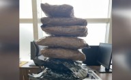 Marijuana worth Rs 3crore seized at Bhubaneswar Airport; Kerala youth arrested