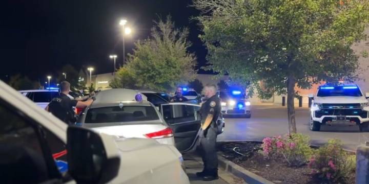Three teenagers arrested for shoplifting ammunition while driving stolen car in Mt. Juliet