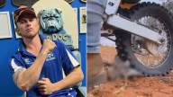 Farm worker filmed kicking and torturing animals successfully appeals sentence