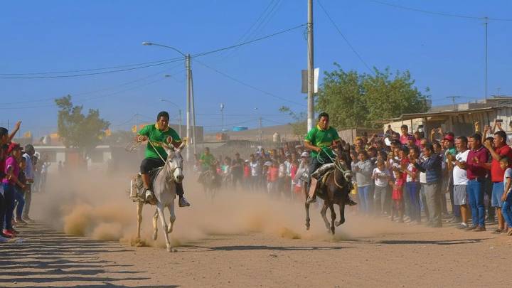 Ica: Así será la gran carrera de burros en Ocucaje con premio de mil soles al ganador