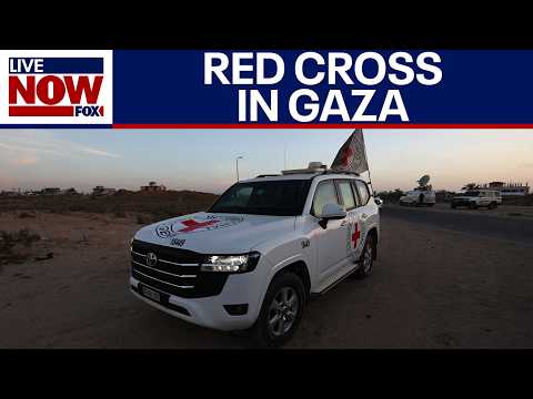 Red Cross continues humanitarian efforts inside Gaza
