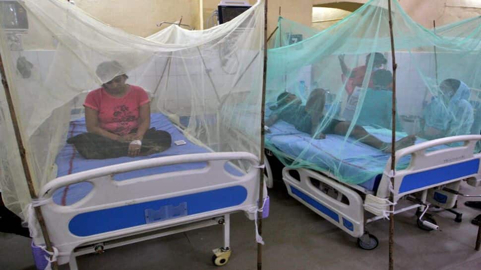 Delhi Burning With Fever: Malaria Explodes To 6-Year High, City On Medical Red Alert
