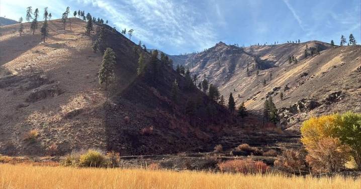 Swakane Unit in Chelan Wildlife Area reopens after wildfire