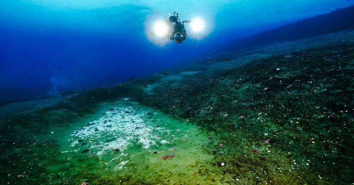 Antarctica research: Something seeping out from under ocean