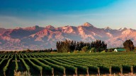 Tres lugares perfectos para celebrar el Día de la Madre con naturaleza y buena comida