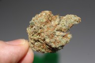 To Weed or Not to Weed, Circleville to Host Public Forum...