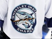 Wheatley Sharks beat Walpole Island Wild in PJHL