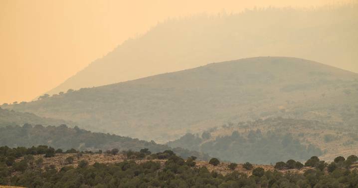 Opinion: In the face of flames, foresight is our greatest defense