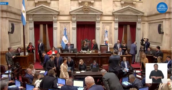 El Senado define hoy si revierte los vetos de Milei al Garrahan y a las universidades