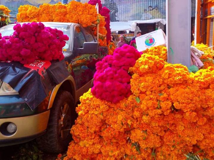Aromas y colores inundan el Mercado de Jamaica por preparativos del Día de Muertos
