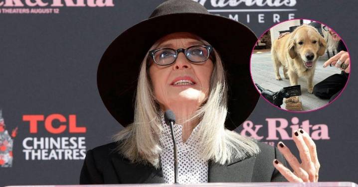 Diane Keaton Was All Smiles With Her Dog Via IG 6 Months Before Death