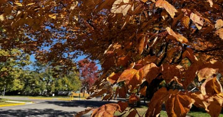Next two weeks ideal for viewing Western Montana fall colors
