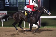 TAYLOR: Two-Year-Old Stars Shine as ASD Season Nears the Finish Line
