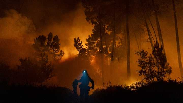 Global analysis finds 15 million in India affected by 2024-25 wildfires, UP most impacted