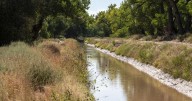 Election: MRGCD board that oversees irrigation, flood control in Middle Rio Grande gets new member
