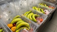 Carney announces long-awaited automatic tax filing, makes school food program permanent