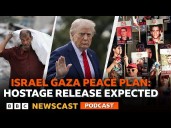 What does the next stage in the Israel-Gaza peace plan look like?