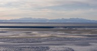 Trump reverses Biden-era restrictions, reopens Arctic refuge to drilling