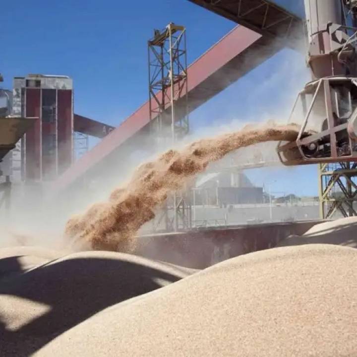 Las cerealeras liquidaron 7107 millones de dólares en septiembre impulsadas por las retenciones cero