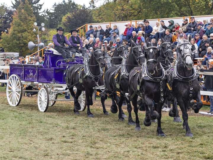 Norfolk Fair marks 185 years celebrating agriculture and family fun