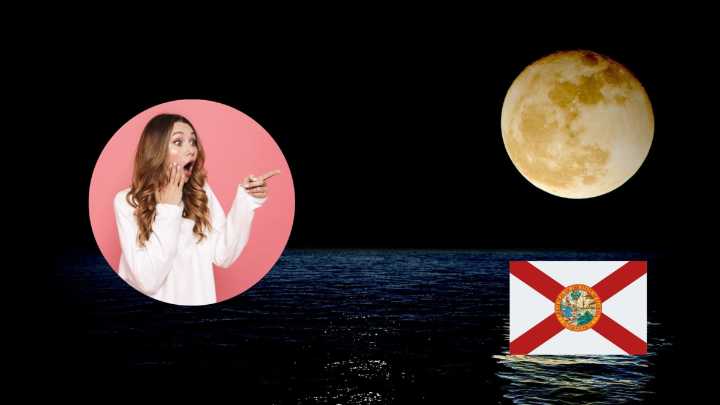 Estados Unidos tendrá la primera Superluna del año en octubre: cómo y dónde verla en Florida
