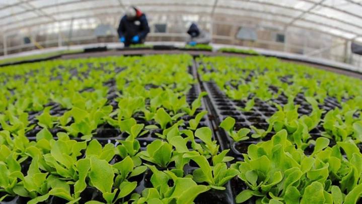 Día Mundial de la Alimentación: Un desafío colectivo