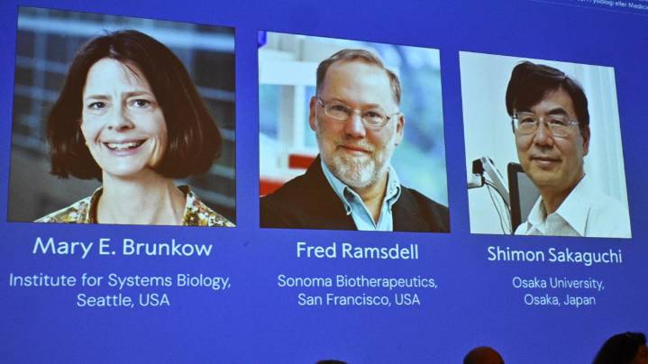 This Seattle scientist just won a Nobel Prize. Here's what for