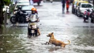 What's driving India's unusual October weather?
